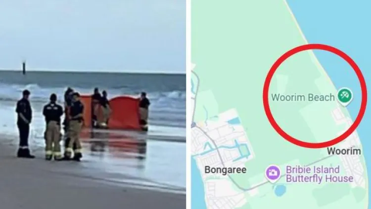 Woorim Beach Shark Attack