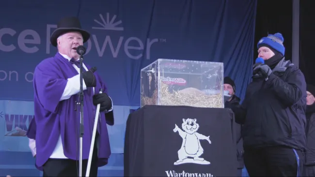 Wiarton Willie 2025 Groundhog Day 