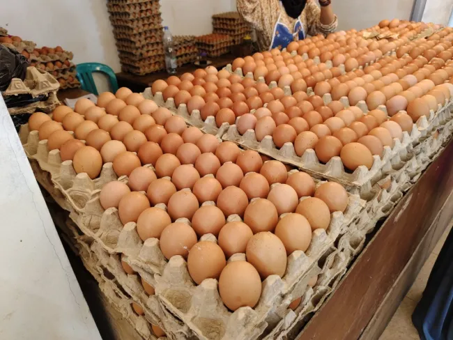 egg prices