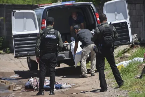 sinaloa cartel