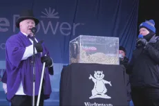 Wiarton Willie 2025 Groundhog Day 