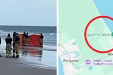 Woorim Beach Shark Attack